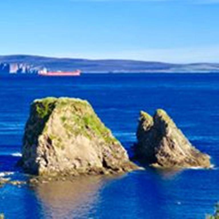 Bed & Breakfast Windhaven And Thurso