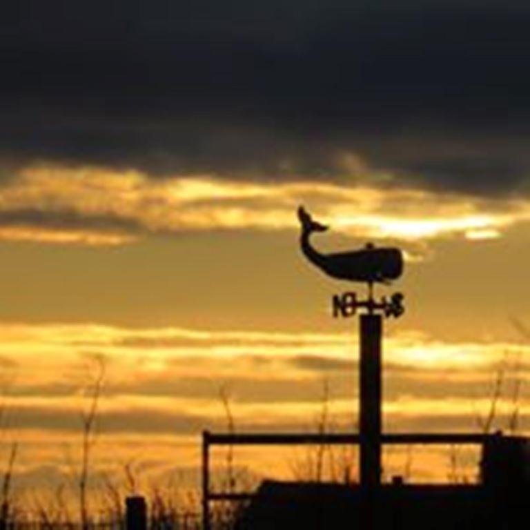 Bed & Breakfast Windhaven And